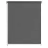 Tenda a rullo esterna 60x230 cm antracite Anteprima dell’immagine prodotto 8