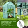 TolleTour Foliengewächshaus Tomatengewächshaus 143x73x195 Produktbild-Vorschau 3