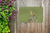 MuchoWow® Produktbild-Vorschau 5