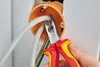 Pince à dénuder 165 mm VDE 2K Knipex | 4003773079699 Voir les images du produit 29