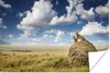 MuchoWow® Poster Geparden - Steine - Gras 90x60 cm - Produktbild-Vorschau 1