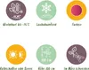 GreenboutiQ - Balkonpflanze - Japanischer Ahorn - Acer Produktbild-Vorschau 7
