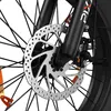 Elektrische fiets Pixar F2, 250W, 48V, 15Ah, schijfremmen - Productafbeelding-voorbeeld 5