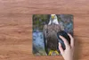 MuchoWow® Mauspad Mousepad Ein Weißkopfseeadler sitzt auf Produktbild-Vorschau 3