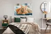 MuchoWow® Poster Katze - Kleidung - Schrank 120x80 cm - Produktbild-Vorschau 4