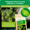 Purgrün -Tannendünger 1 kg, Produktbild-Vorschau 4