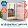Stillstern Mini Gefrierschrank klein & leise 42L, Produktbild-Vorschau 2