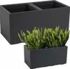 Two dark gray planters, one larger in the background and one smaller in the foreground with green plants. Náhled obrázku produktu