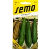 Hlaveň valcovitá Náhľad obrázku produktu 1