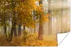 MuchoWow® Poster Licht - Bäume - Laub 30x20 cm - Plakate - Produktbild-Vorschau 1