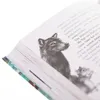 Windwalkers (2). Helden der Lüfte Produktbild-Vorschau 6