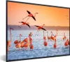 MuchoWow® Gerahmtes Poster Vogel - Flamingo - Wasser - Produktbild-Vorschau 1