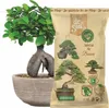 Dr.Soil natürliches Substrat für Bonsai und andere Produktbild-Vorschau 2