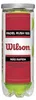 Tubo 3 Palline da Padel Wilson Rush 100 Multicolor Anteprima dell’immagine prodotto 1