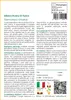 SAFLAX  - Albero Ruota di fuoco - 20 semi - Stenocarpus Anteprima dell’immagine prodotto 3