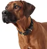 Hunter Halsband Sansibar Solid, Größe:55, Farbe:dunkelbraun Produktbild-Vorschau 5