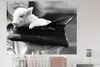 MuchoWow® - Selbstklebend - Fototapeten Produktbild-Vorschau 4