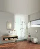 Grohe Abdeckplatte Skate Cosmopolitan chr, senkrechte und Produktbild-Vorschau 5