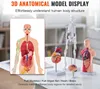 SucceBuy sada 4 modelov anatómie človeka, 3D učebné pomôcky Náhľad obrázku produktu 2