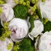 Rosa  - Kordes Parfuma® Rose - Rosa 'Herzogin Christana'® Produktbild-Vorschau 2