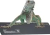 A green iguana is positioned on a black heat mat, with its front legs resting on the mat. Podgląd zdjęcia produktu