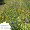 Owngrown Bienenwiesen-Blumenmischung 100 g Produktbild-Vorschau 14