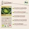 Samenliebe  Wirsing Samen | Vertus 2 - winterhart & groß - Produktbild-Vorschau 3