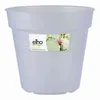 elho green basics Orchidee 15cm - transparent Voir les images du produit 2