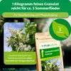 Purgrün Sommerflieder-Dünger 1 kg, Produktbild-Vorschau 4