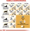 A feeding guide chart for Royal Canin Maine Coon cat food, showing different cat weights and corresponding food portions. Náhled obrázku produktu