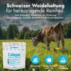 Collagen Pulver 1000g Bioaktives Kollagen Hydrolysat von Produktbild-Vorschau 3