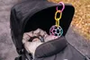 Oball Oball Classic Easygrasp Spielzeug – Rosa/Lila Produktbild-Vorschau 12
