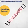 Best Sporting Expander Fitness 15-20-25 kg I Bänder Produktbild-Vorschau 3