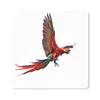 MuchoWow® Mauspad Mousepad Ara - Vogel - Porträt 20x20 cm - Produktbild-Vorschau 1
