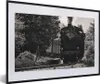 MuchoWow® MuchoWow® Gerahmtes Poster Schwarz-Weiß-Foto Produktbild-Vorschau 1