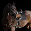 HV Polo Schabracke HVPLegacy DR, Größe:Warmblut, Produktbild-Vorschau 2
