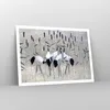 Poster - Poster ohne Rahmen - Vogel Natur Wasser - 100x70 Produktbild-Vorschau 7