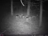 Outdoor Wildlife Hunting Trail und Wildkamera OXE Spider Produktbild-Vorschau 41