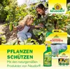 Neudorff Nützlinge gegen Dickmaulrüssler – 5 Mio. Produktbild-Vorschau 10