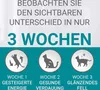 Marketing image showing benefits of a cat food over 3 weeks with illustrations of cats. Produktbild-Vorschau
