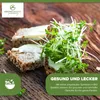 Kresse Sprossen Samen 50g - Microgreens Saatgut ideal für Produktbild-Vorschau 3