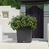 LECHUZA Pot de plantes CUBE Cottage 40 Granit | Pot de Voir les images du produit 20