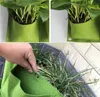 Hängende Gartentöpfe für Blumen, Gewürze, Kräuter, 12 Produktbild-Vorschau 6