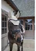 Kentucky Horsewear Fliegenhaube Wellington Softshell Produktbild-Vorschau 6