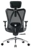 Sihoo Profi Bürostuhl M18-M148 Ergonomischer Produktbild-Vorschau 2