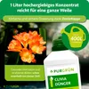 Purgrün Clivia-Dünger 1 Liter, Produktbild-Vorschau 4