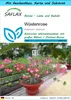 SAFLAX Geschenk Set - Wüstenrose - Adenium obesum - 8 Samen Produktbild-Vorschau 1