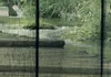Akustikbild Natur Landschaft 200x100 cm Bilder Produktbild-Vorschau 3