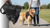Wobell | Spazierengurt für Hunde mit verstellbaren Griffen, Produktbild-Vorschau 6