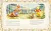 Detailansicht: Winnie Puuh – Das große Geschichtenbuch (Hardcover) Anteprima dell’immagine prodotto